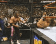 1675253257570.gif