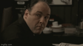 1683986202873.gif