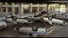 IMG_0345.gif