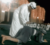 1685050069787.gif