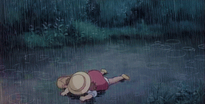 1685749043651.gif