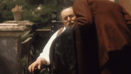 vitocorleone-donciccio.gif