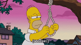 1686062678407.gif