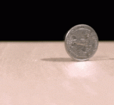 IMG_0390.gif