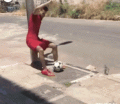 paqgif.gif