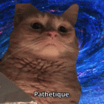 IMG_8834.gif