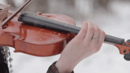 1000029740.gif