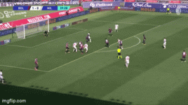 1699706963464.gif