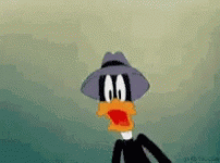 what-daffy-duck.gif