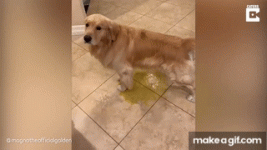1000071492.gif