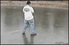 1000071494.gif