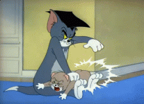 IMG_8291.gif