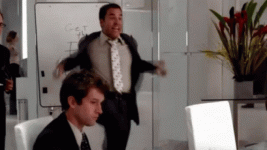 IMG_2889.gif