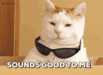 1747920553007.gif