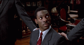 giphy (38).gif