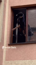 1000705747.gif