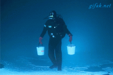 1000723937.gif 1000723937.gif
