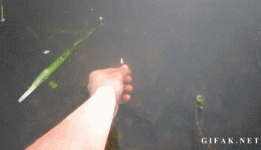 1000732359.gif