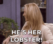 1786017477108.gif