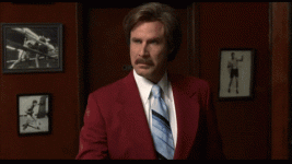 giphy (31).gif