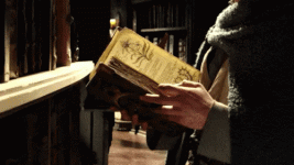 1786873886619.gif