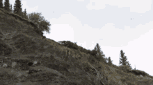 1787400607931.gif