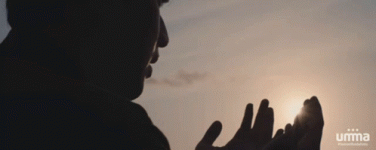 1787506983594.gif