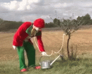 1658135254717.gif