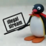 Pingu